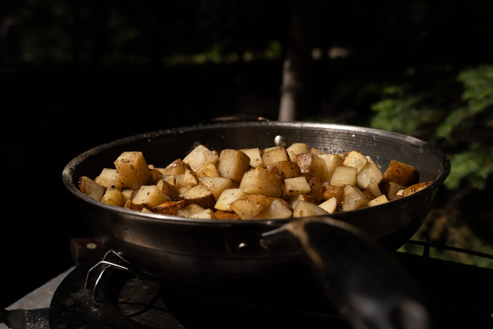 A steel skillet of crisped potatoes over a fire, sunlit forest dark behind.
